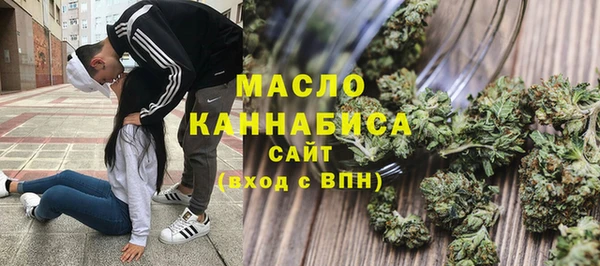 молекула духа Снежинск