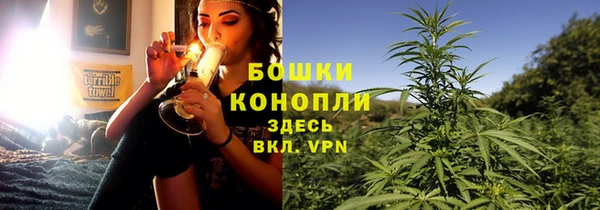 альфа пвп Бородино