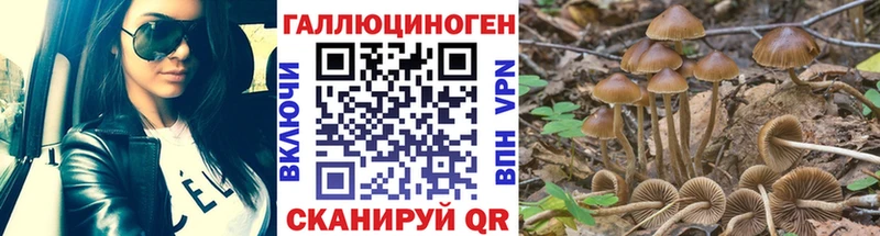 Псилоцибиновые грибы MAGIC MUSHROOMS  Светлогорск 
